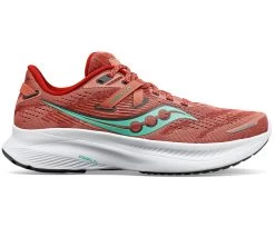Saucony Women's Guide 16 (25 - Soot/Sprig)
